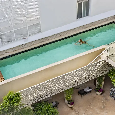 Pajaro Rebelde Bed & Breakfast