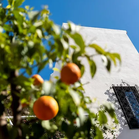 Pajaro Rebelde Nocleg ze śniadaniem Sewilla