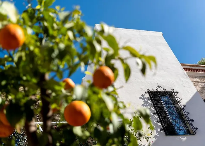 Pajaro Rebelde فندق مبيت وإفطار إشبيلية